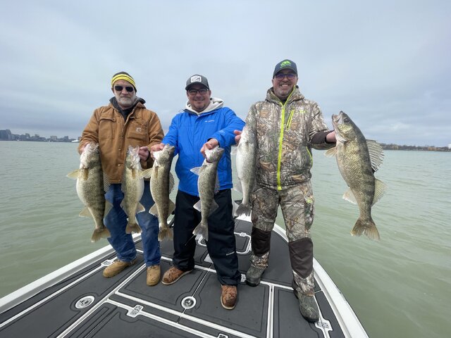 Listing image 985898