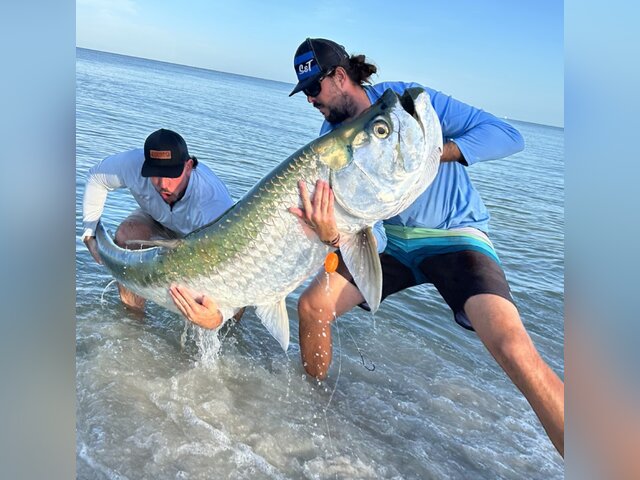 Listing image 987070