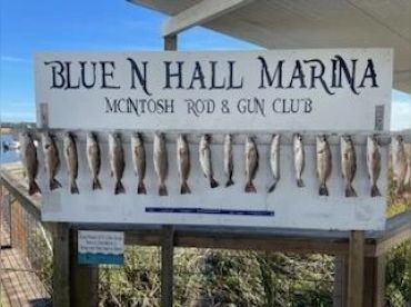 Ruff's Custom Coastal Adventures thumbnail