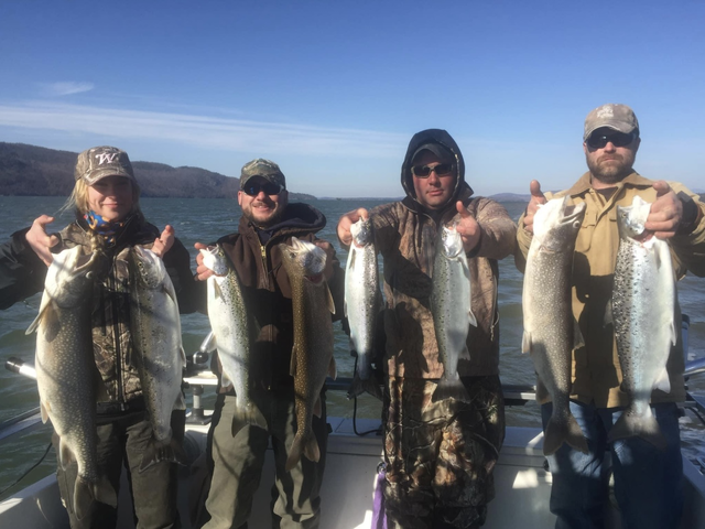 Listing image 987754