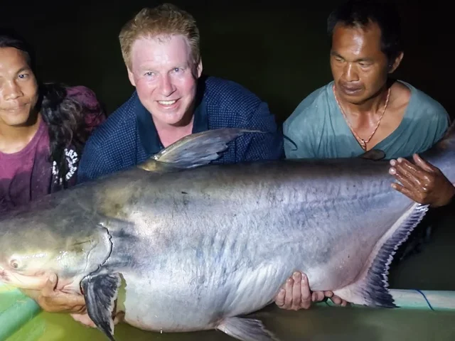 Listing image 988089