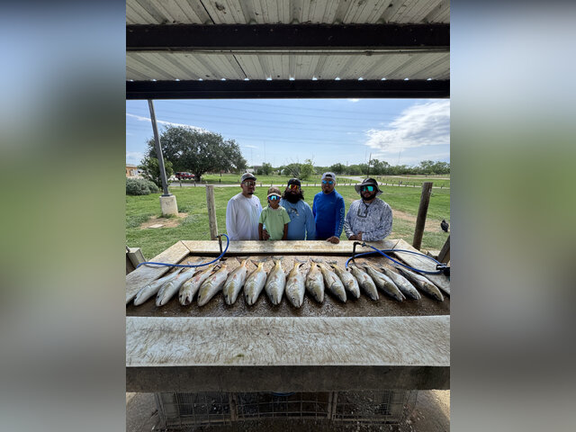 Listing image 1181165