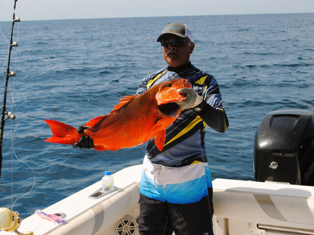 Listing image 1336624