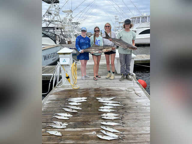 Listing image 1032952