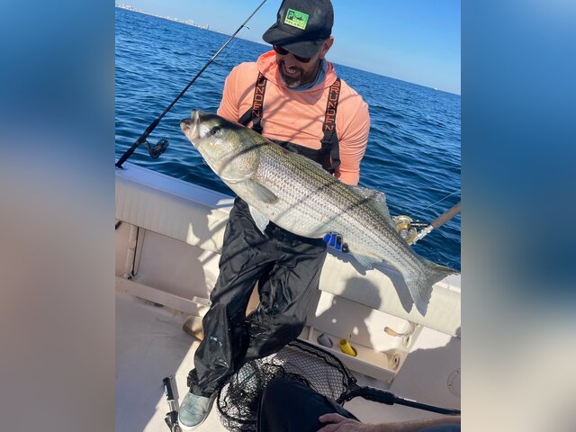 Listing image 990967