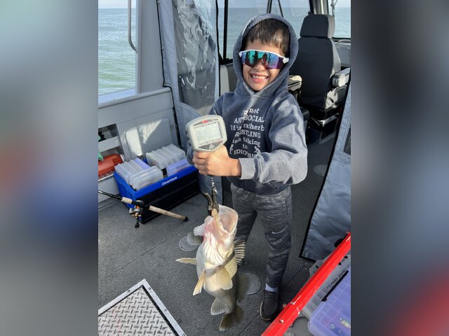 Listing image 991761