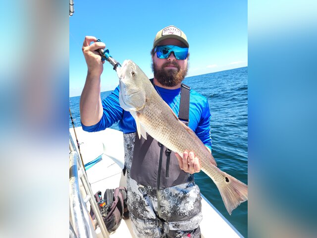 Listing image 1056184