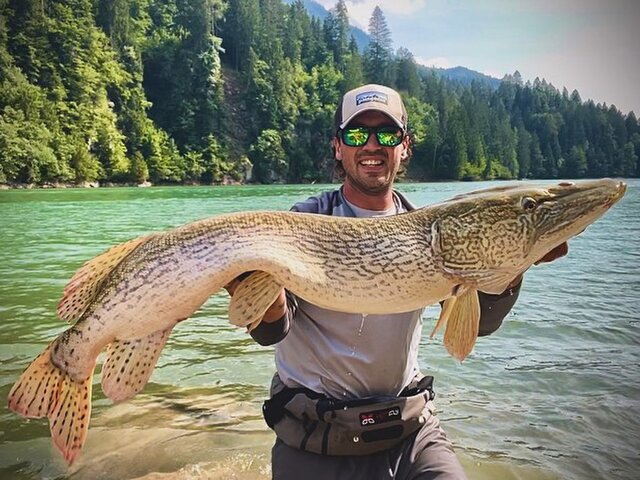 Listing image 1148382