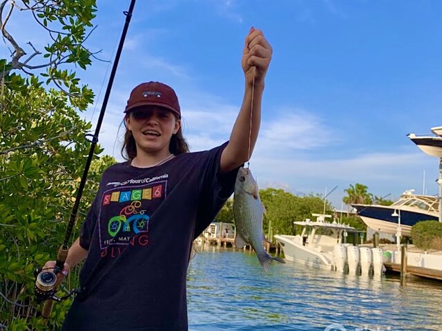 Listing image 996834