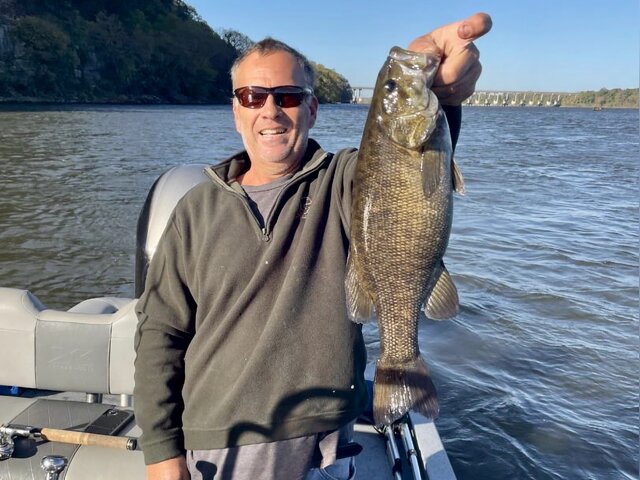 Listing image 995029