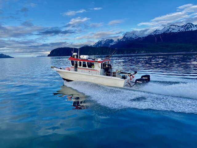 Listing image 994125