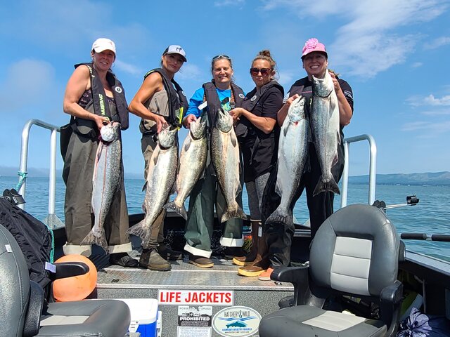 Listing image 995401