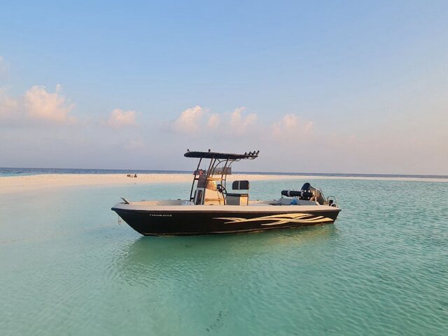 Listing image 995556