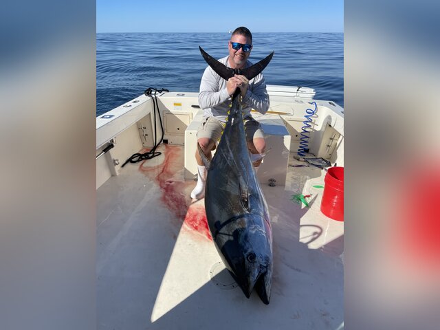 Listing image 995279