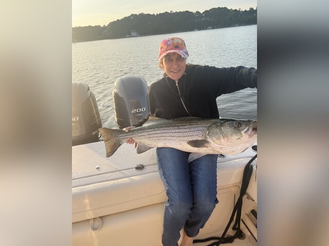 Listing image 996638