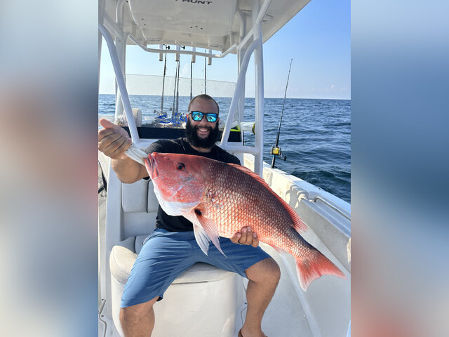 Listing image 1124863