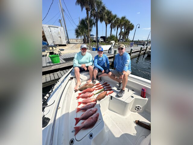 Listing image 1375991