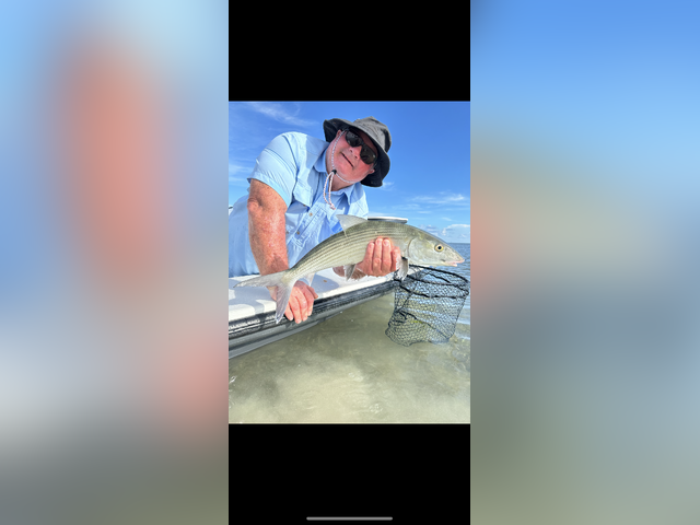 Listing image 1098772