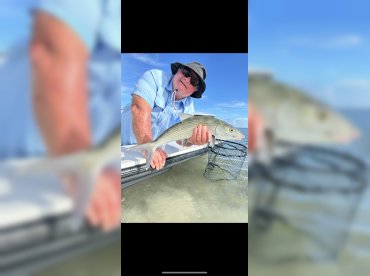 Key West Charter Fishing – Shallows