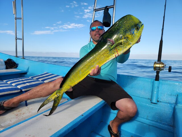 Listing image 997985