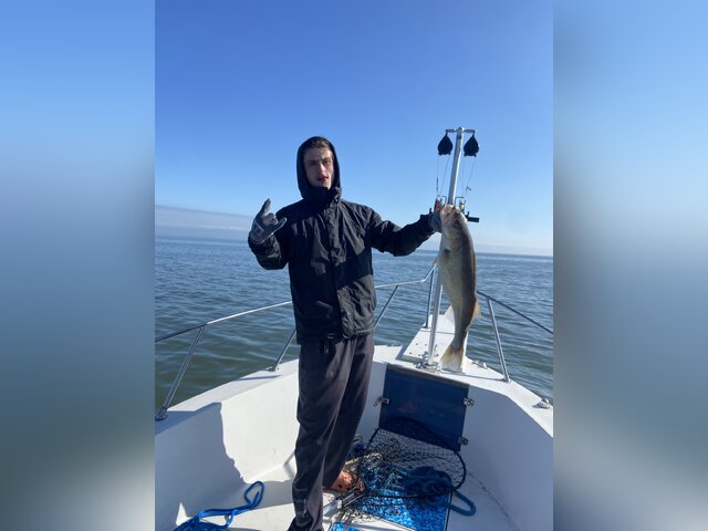 Listing image 1001752