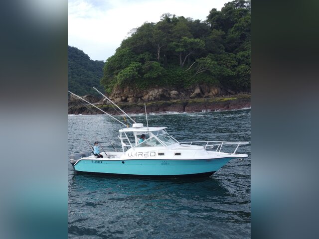 Listing image 1122019