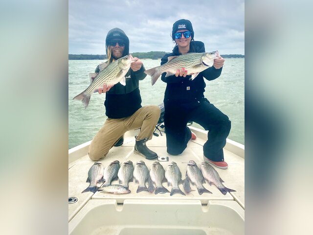 Listing image 1004241