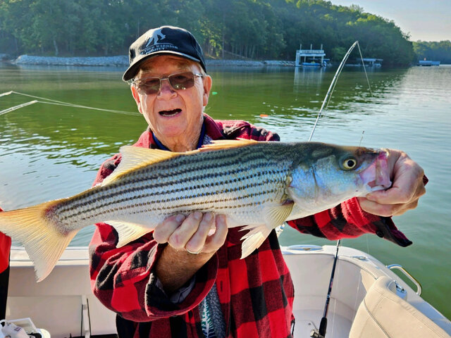 Listing image 1062519