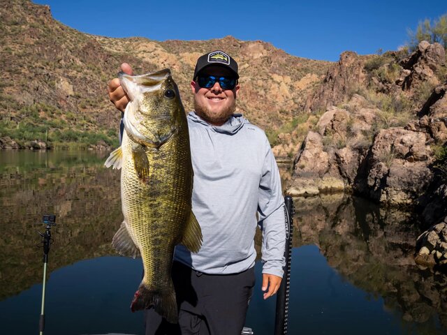 Listing image 1008824