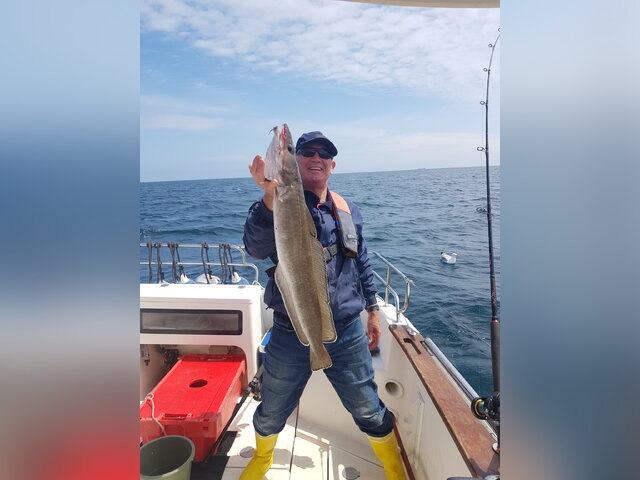 Listing image 1013008