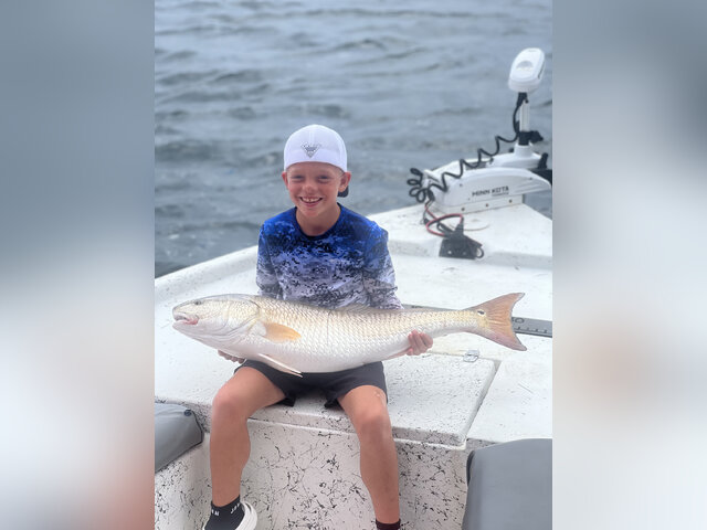 Listing image 1230532