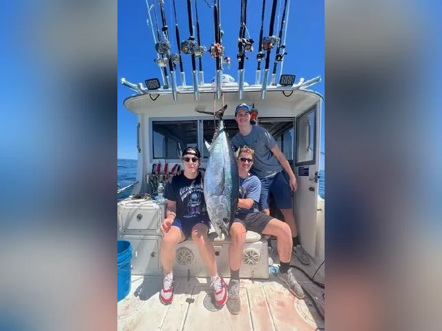 Listing image 1008609