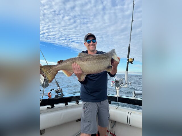 Listing image 1009646