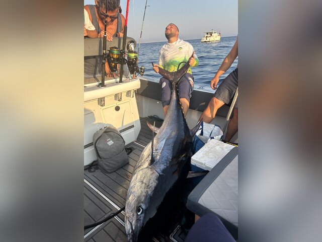 Listing image 1175657