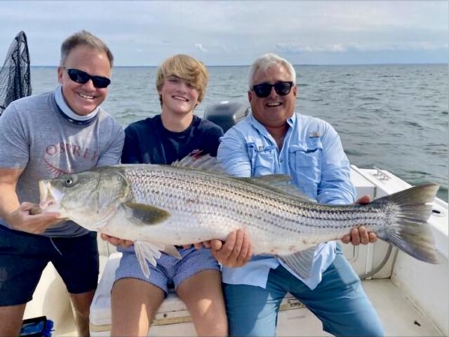 Listing image 1017745