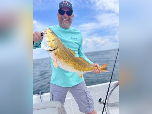 Listing image 1012110