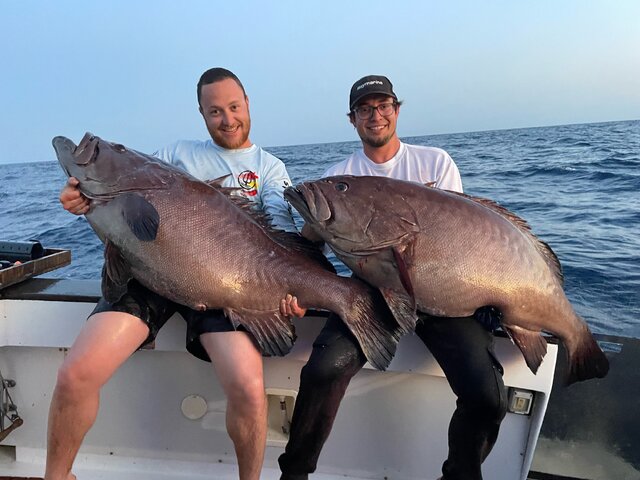 Listing image 1209736