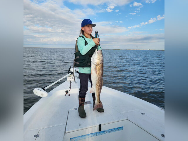 Listing image 1012802