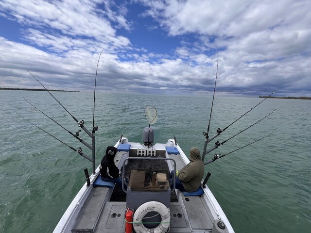 Listing image 1217717