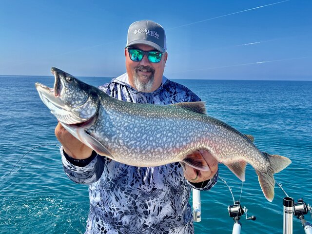 Listing image 1014053