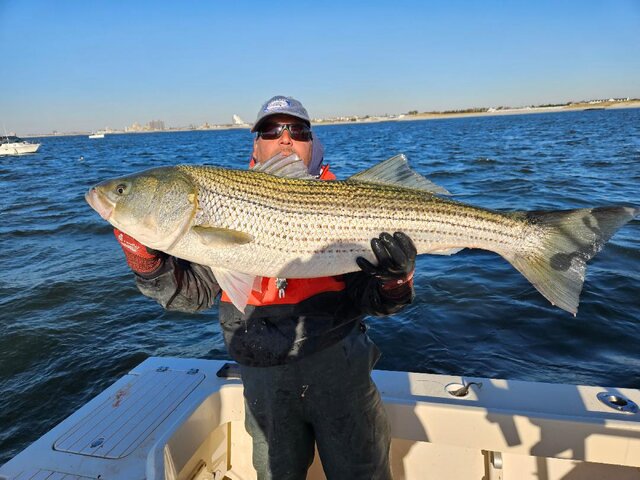 Listing image 1014517