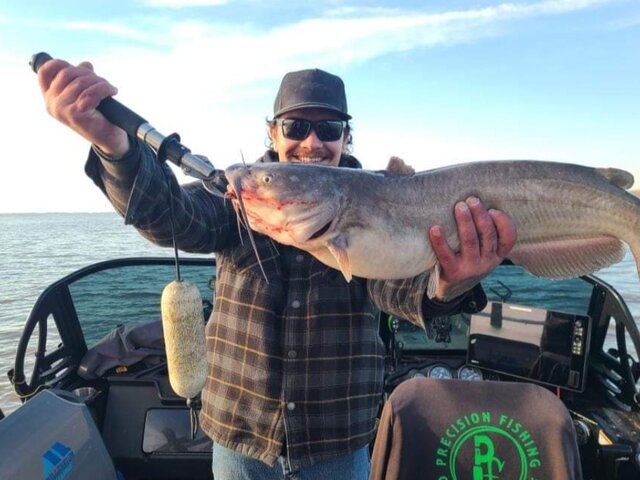 Listing image 1015238