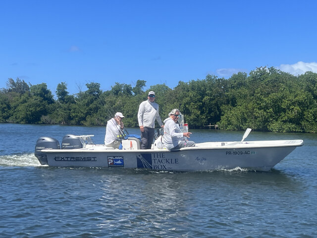 Listing image 1016165