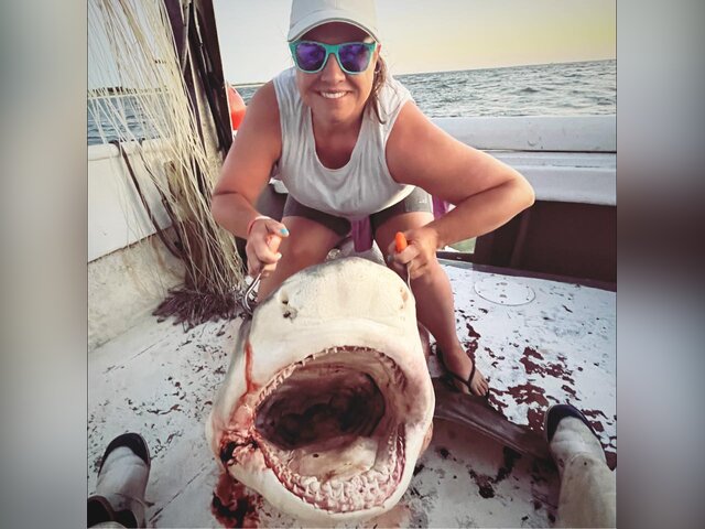 Listing image 1057974