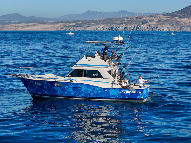 Listing image 1204196