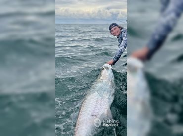 Tarpon Hooker