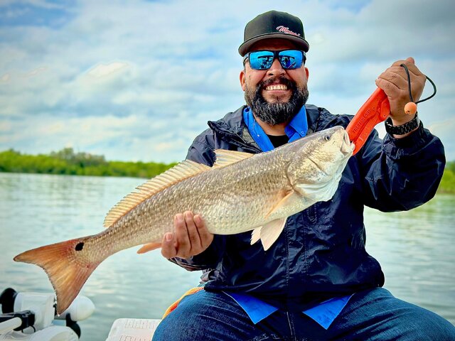 Listing image 1017481