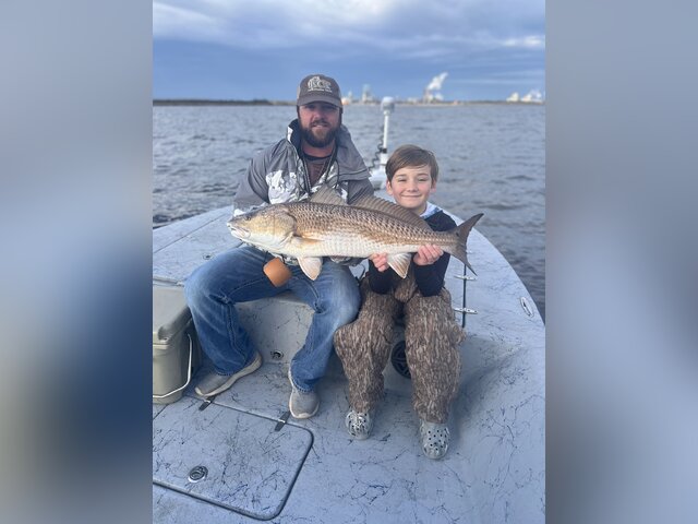 Listing image 1165898