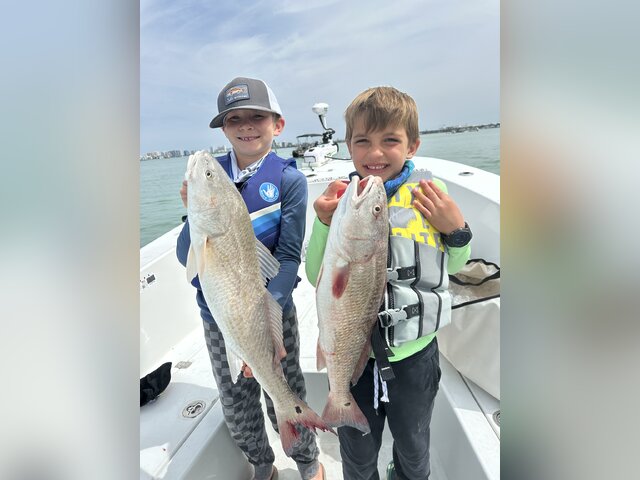 Listing image 1263704