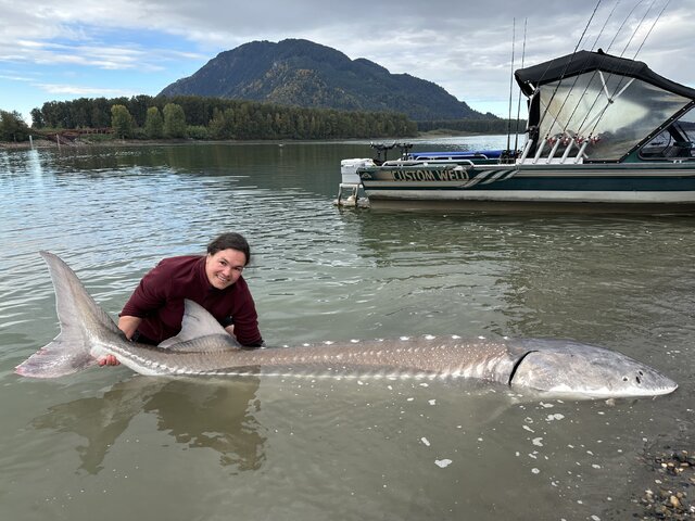 Listing image 1020661